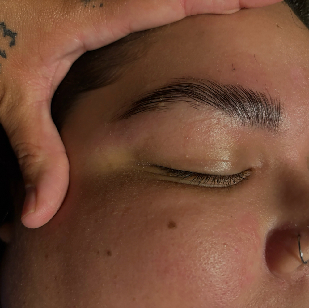 Eyebrow Lami, Wax & Tint Bundle