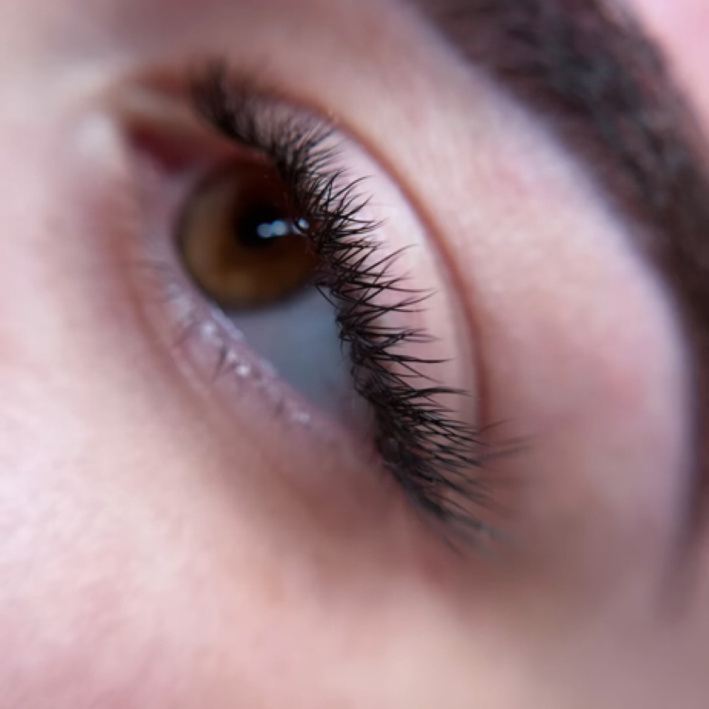 Regular Lash Extension 2 Week Fill at Marjorie Zotti in Vineyard Haven, MA