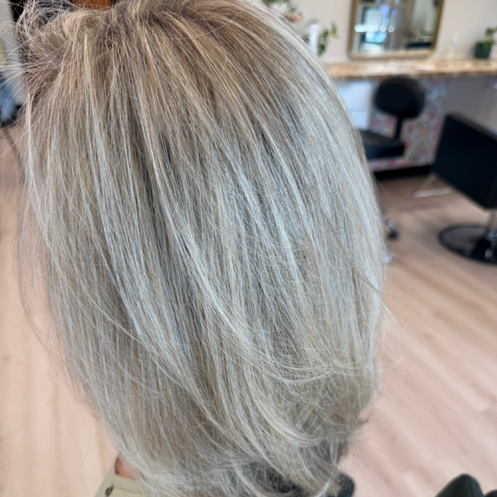 Full Grey Blending at Sher Segal Hair in Apex, NC