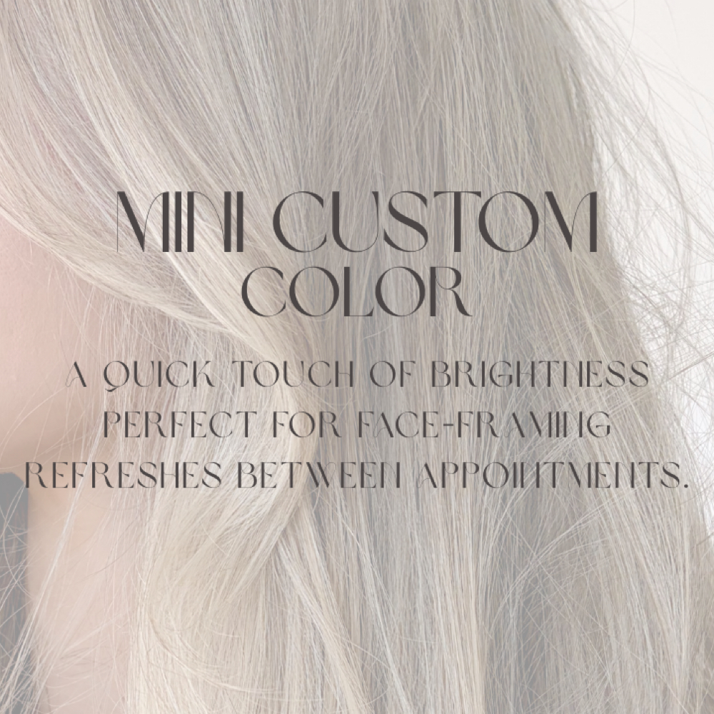 Mini Custom Color at Rose Hair & Co. in Cumming, GA