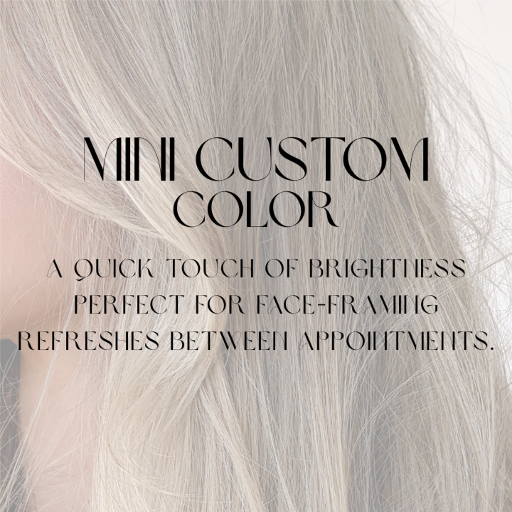 Mini Custom Color at Rose Hair & Co. in Cumming, GA