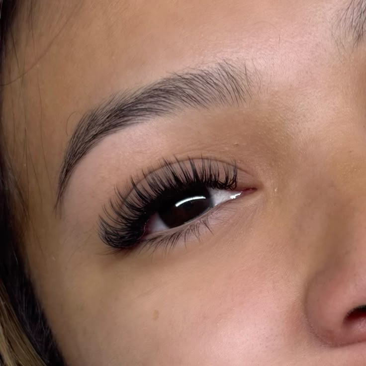 Lash Extension Refill