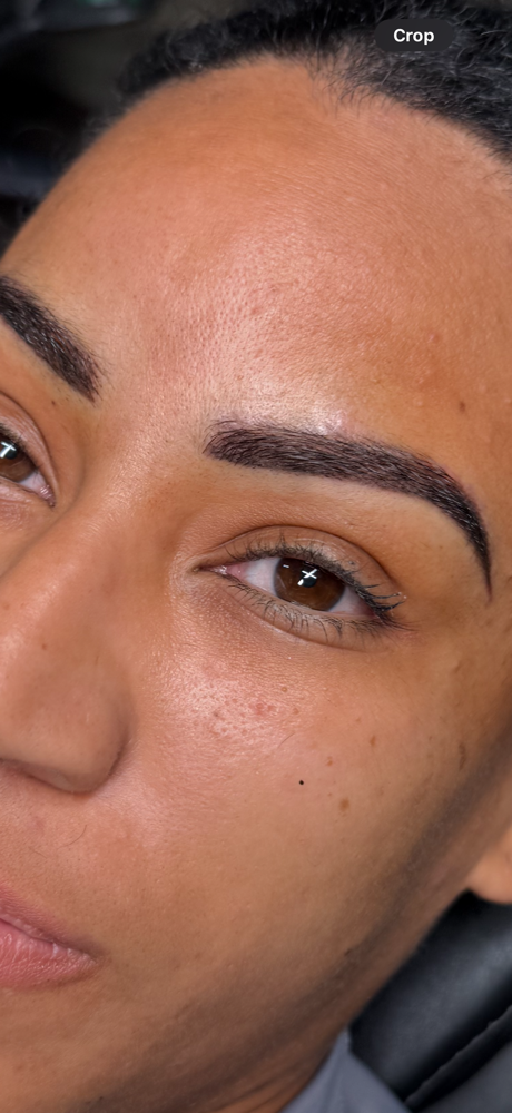 Ombre Powder Brows at Tatmandoo’s Tattoo Collective in Winter Haven, FL
