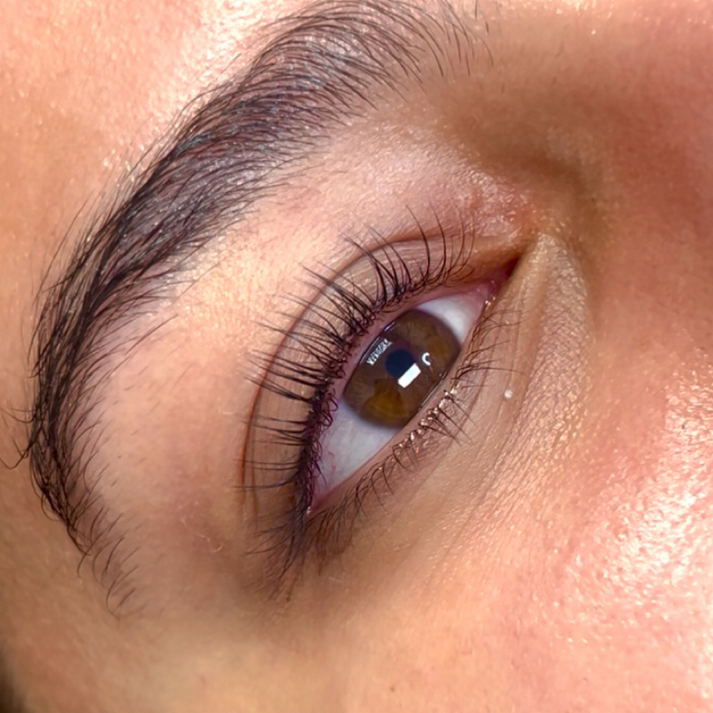 Lash Lift (Tint Included) at EttaJDerma Esthetics and Spa in Dallas, TX