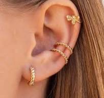 Ears