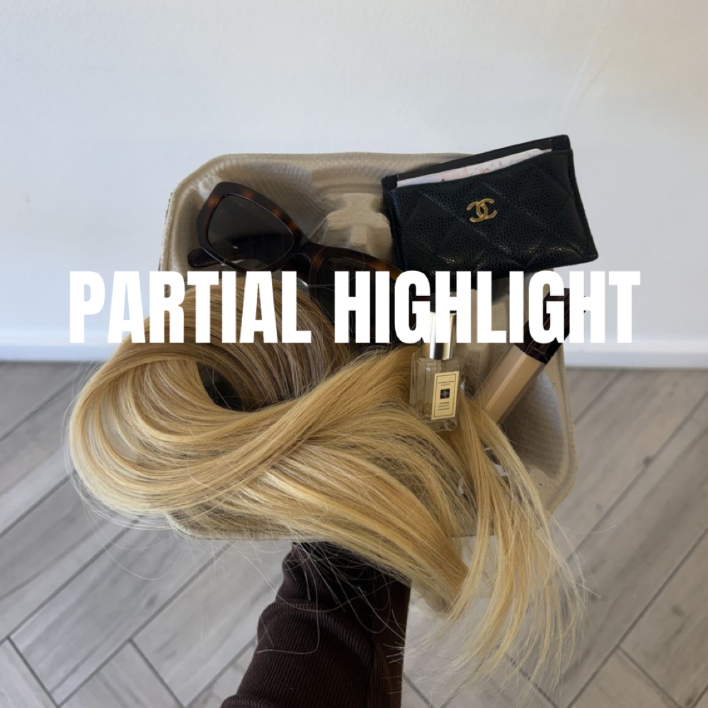 Partial Highlight at Colored By Christa in Scottsdale, AZ