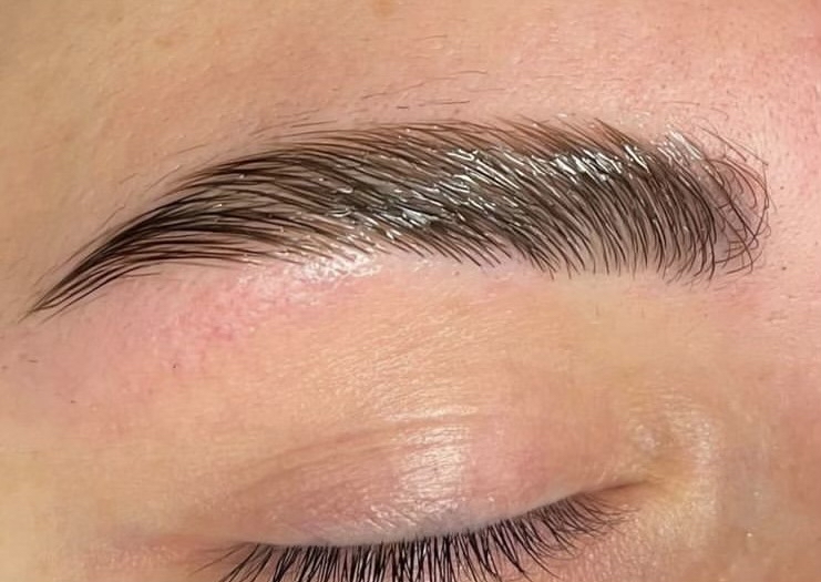 Eyebrow Lamination