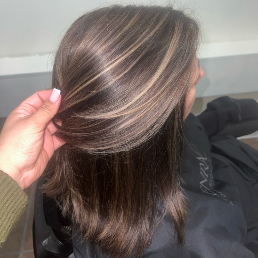 Partial Highlight & Blowout at Rooted Beauty By Jenny in Rock Hill, SC