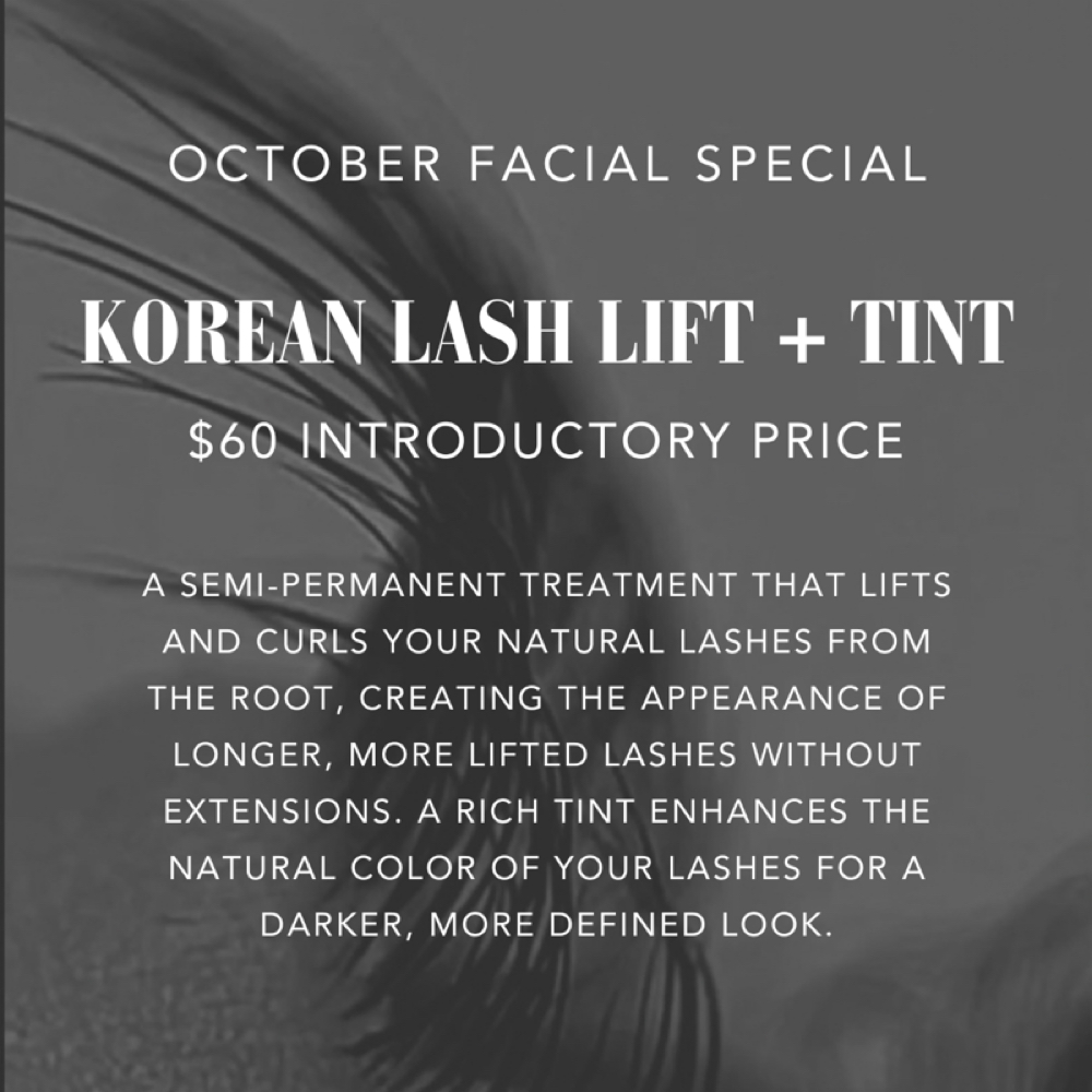Intro Price: Korean Lash Lift at Salt + Light Skincare in Atascocita, TX