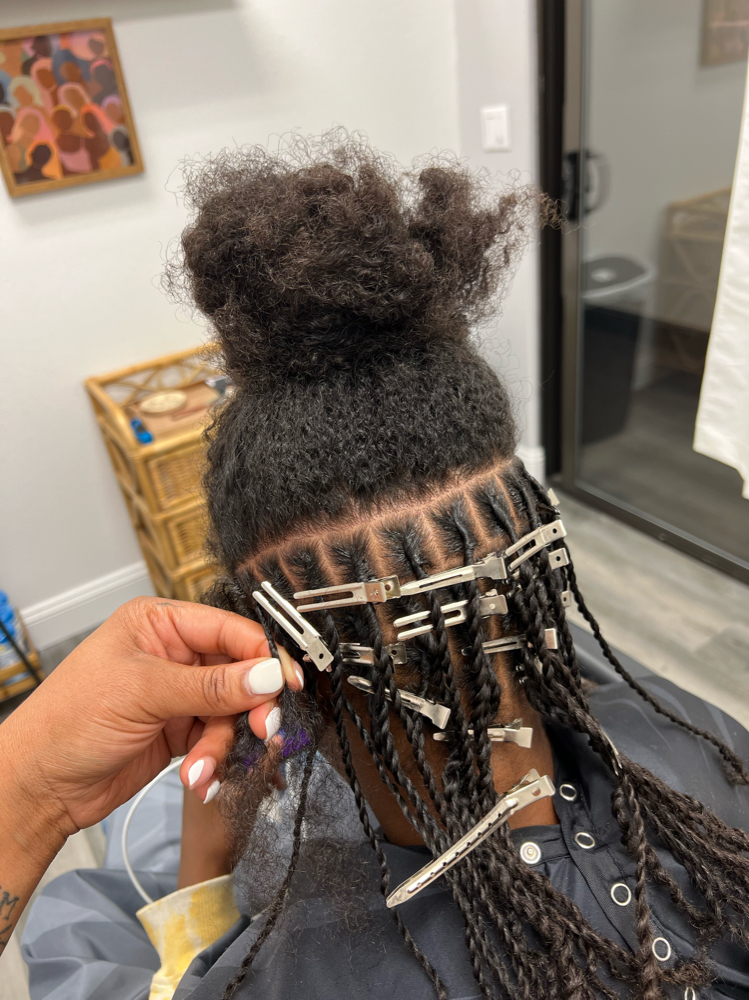 Traditional Starter Locs