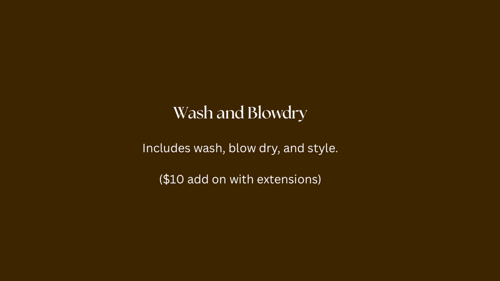 Wash & Blowdry at Wild Honey Studio in Sioux Falls, SD