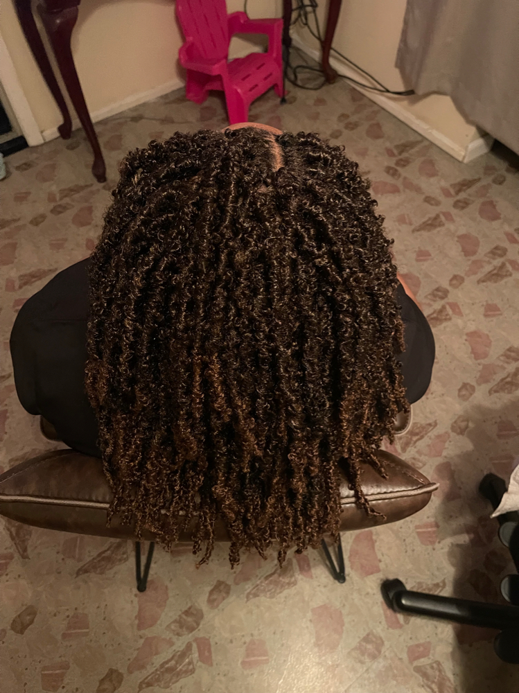Regular Crochet Braids