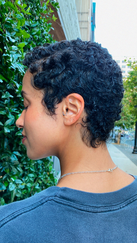 Curl Scuplting- Haircut (FIRST TIME CLIENTS) at Simonedidit in Alameda, CA