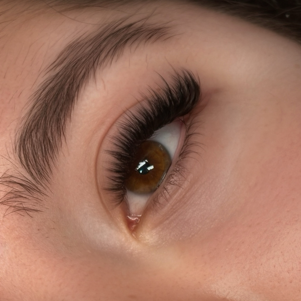 Lash Fills 2-3 weeks