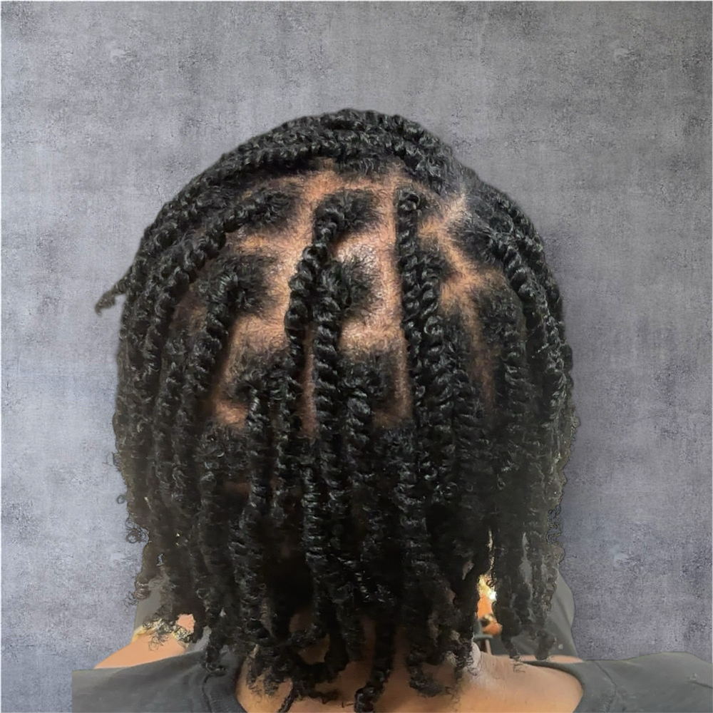 TWO STRAND TWISTS