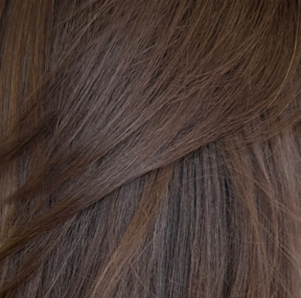 Demi Roots For Gray Blending at Grace Sarasota Hair in Sarasota, FL