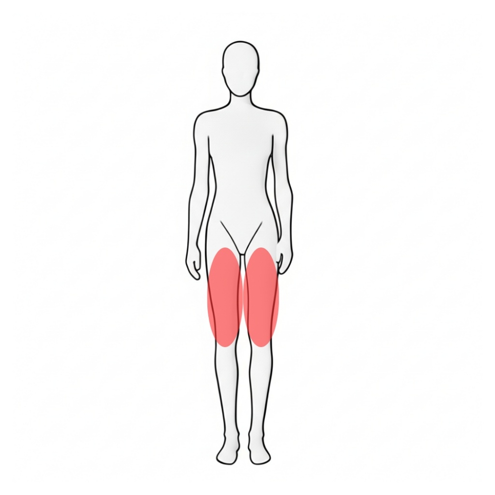 upper leg