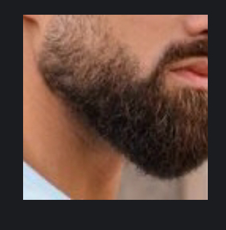 Beard Line Up