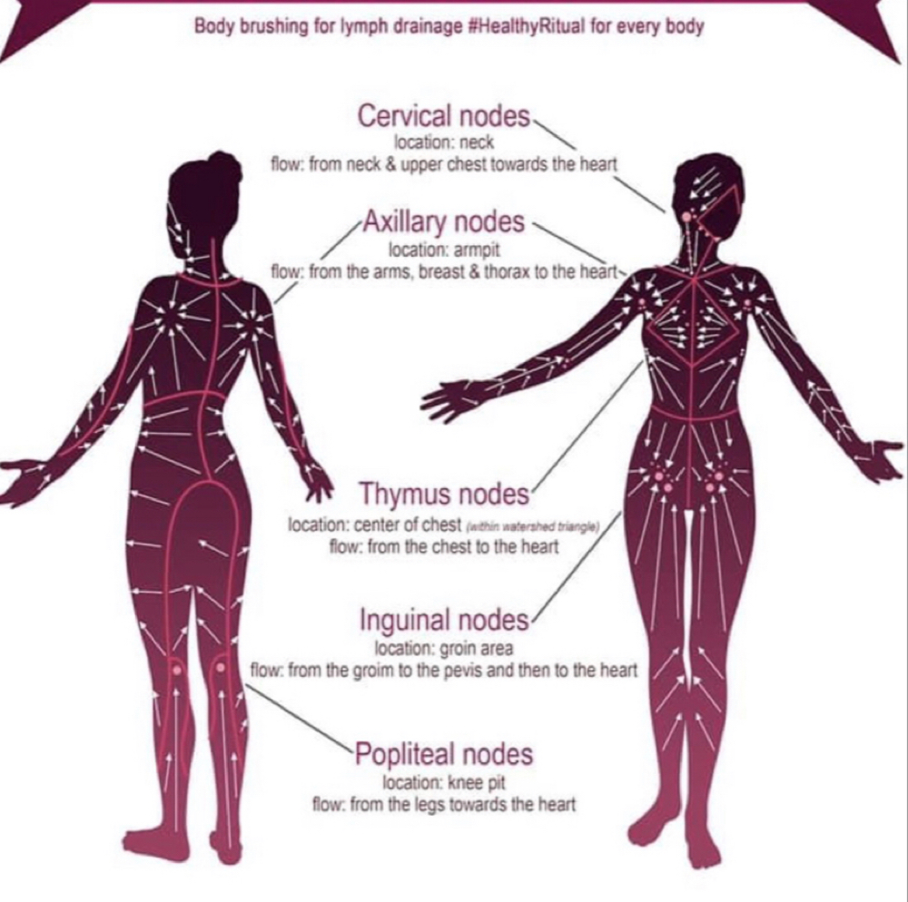 Body Composition at Lexie Esthetics in Riverside, CA