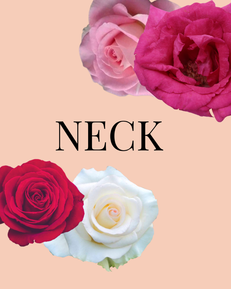 NECK