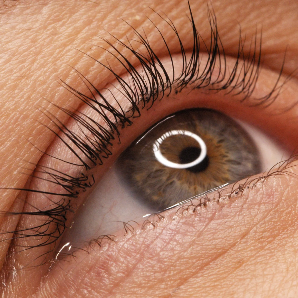 Lash Lift & Tint