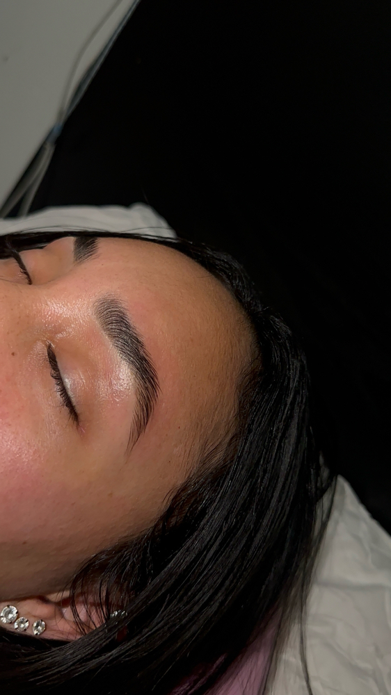 Brow Tint at TheBrowEdit.Eve in Hialeah, FL
