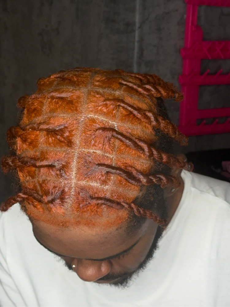 Invisible Locs Side Twist