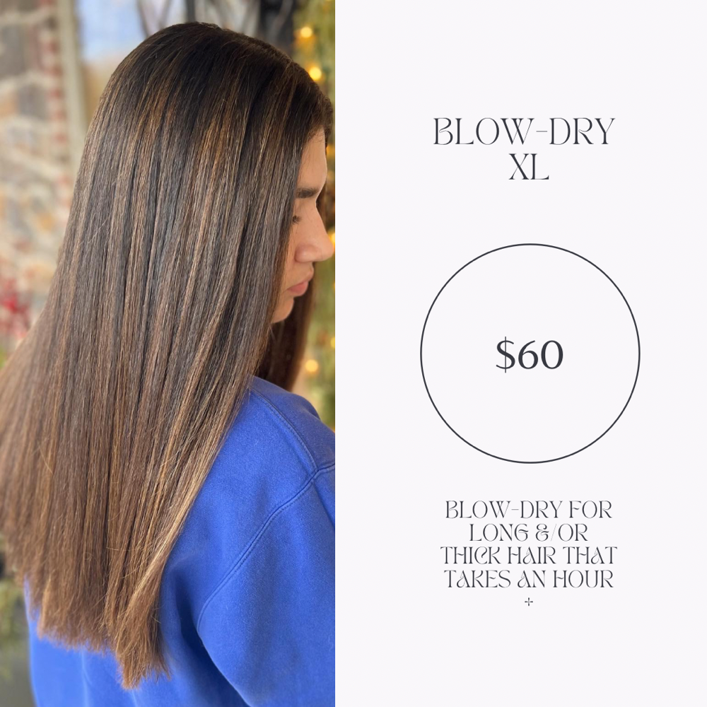 Blow Dry - XL