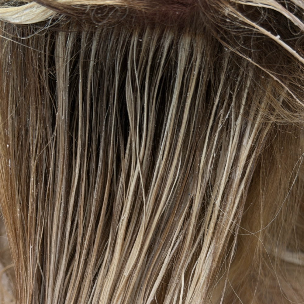 Partial Blonding Service at Hair By Bailey Jean in Faith, SD