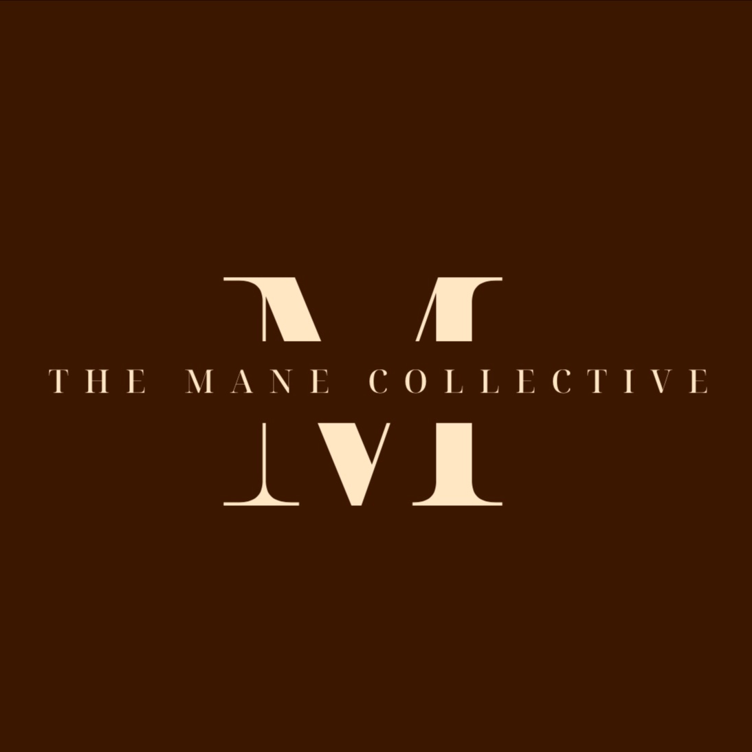 Color Consultation at The Mane Collective in Louisville, KY