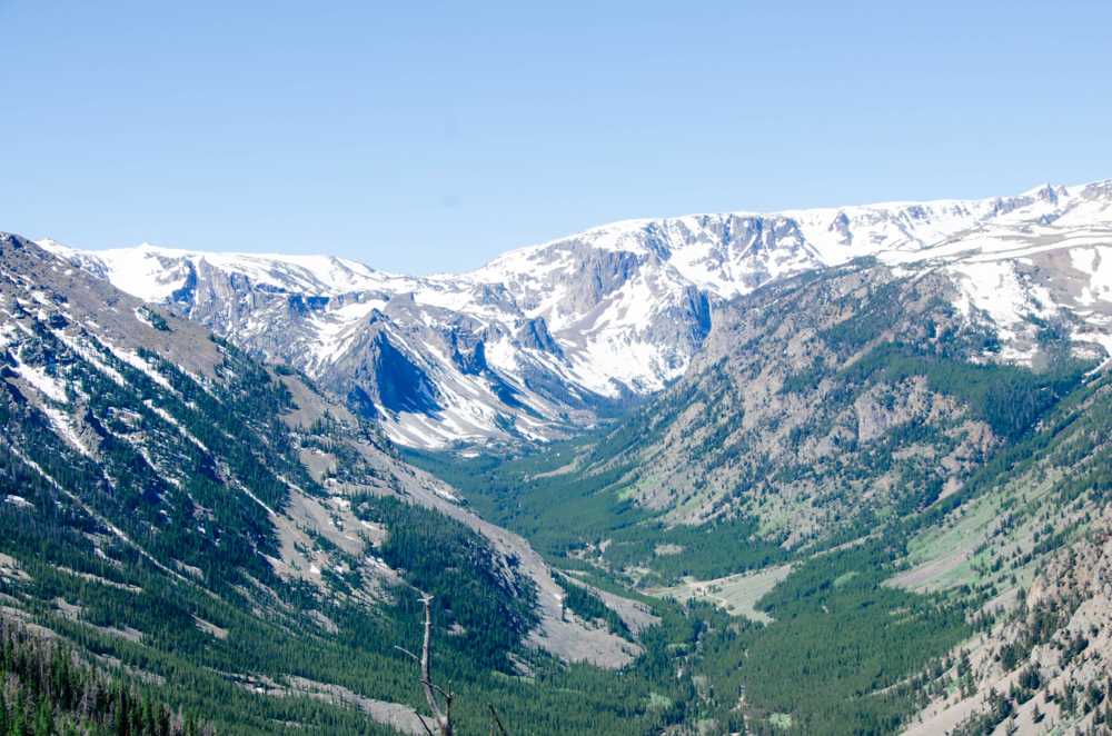 High Altitude Skin Consultation