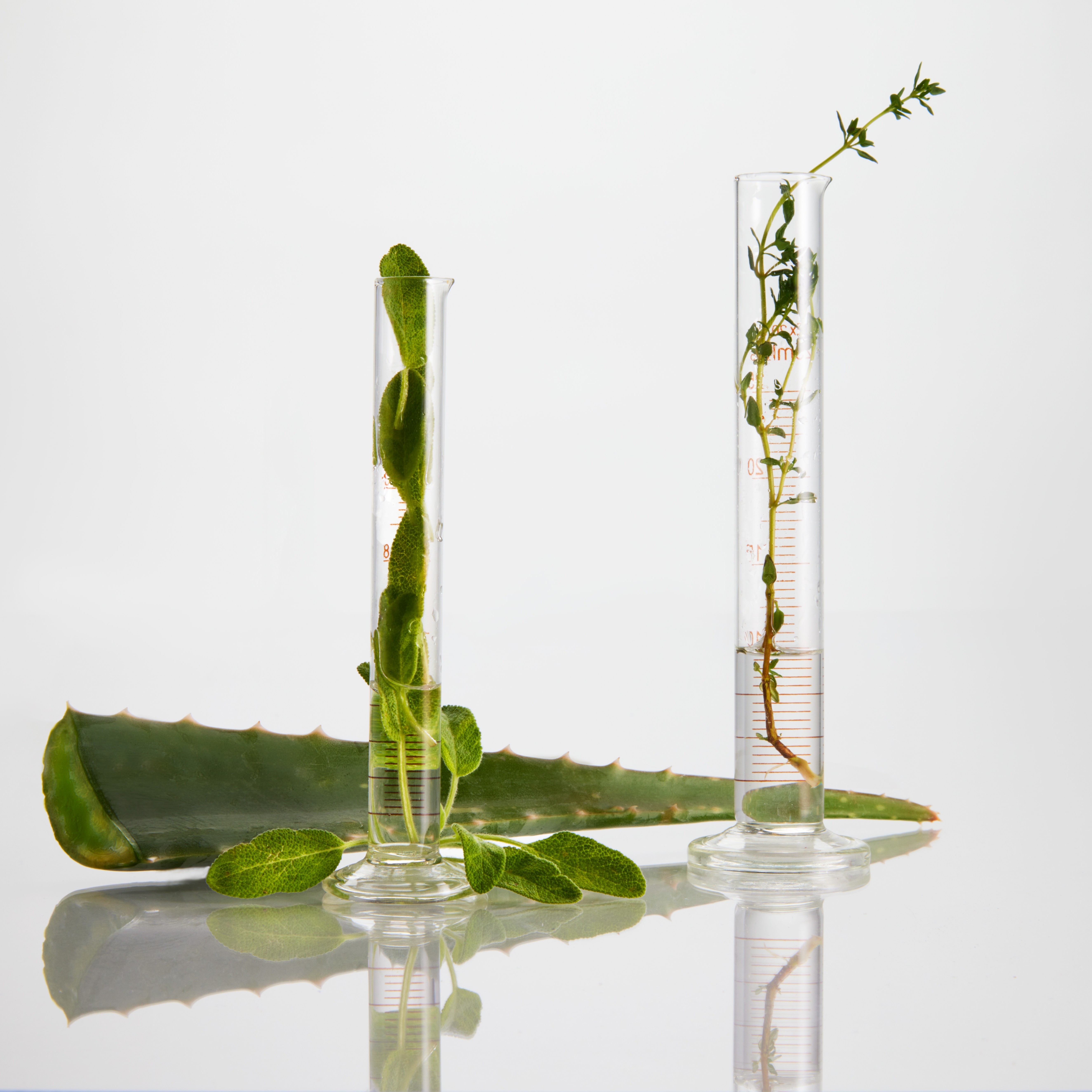 Children Haircut 10 & Under