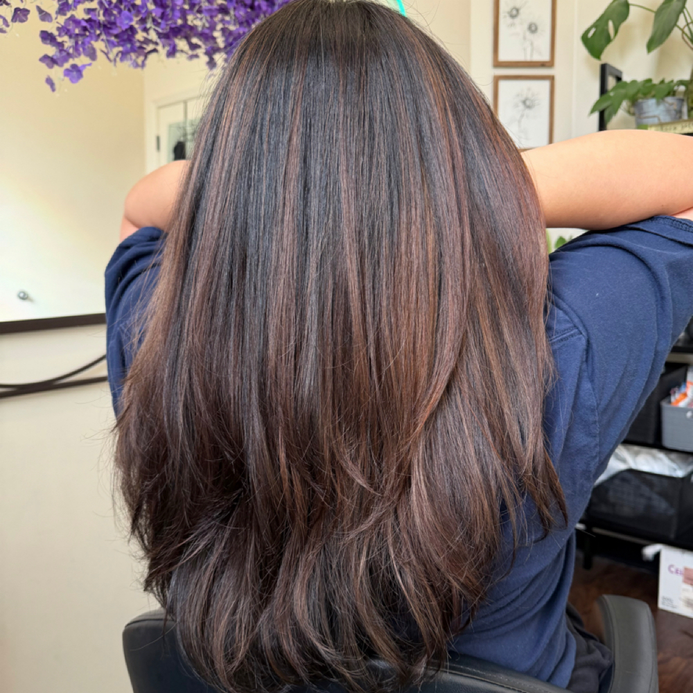 Partial Balayage at Christina Nguyen in Oakbrook, IL