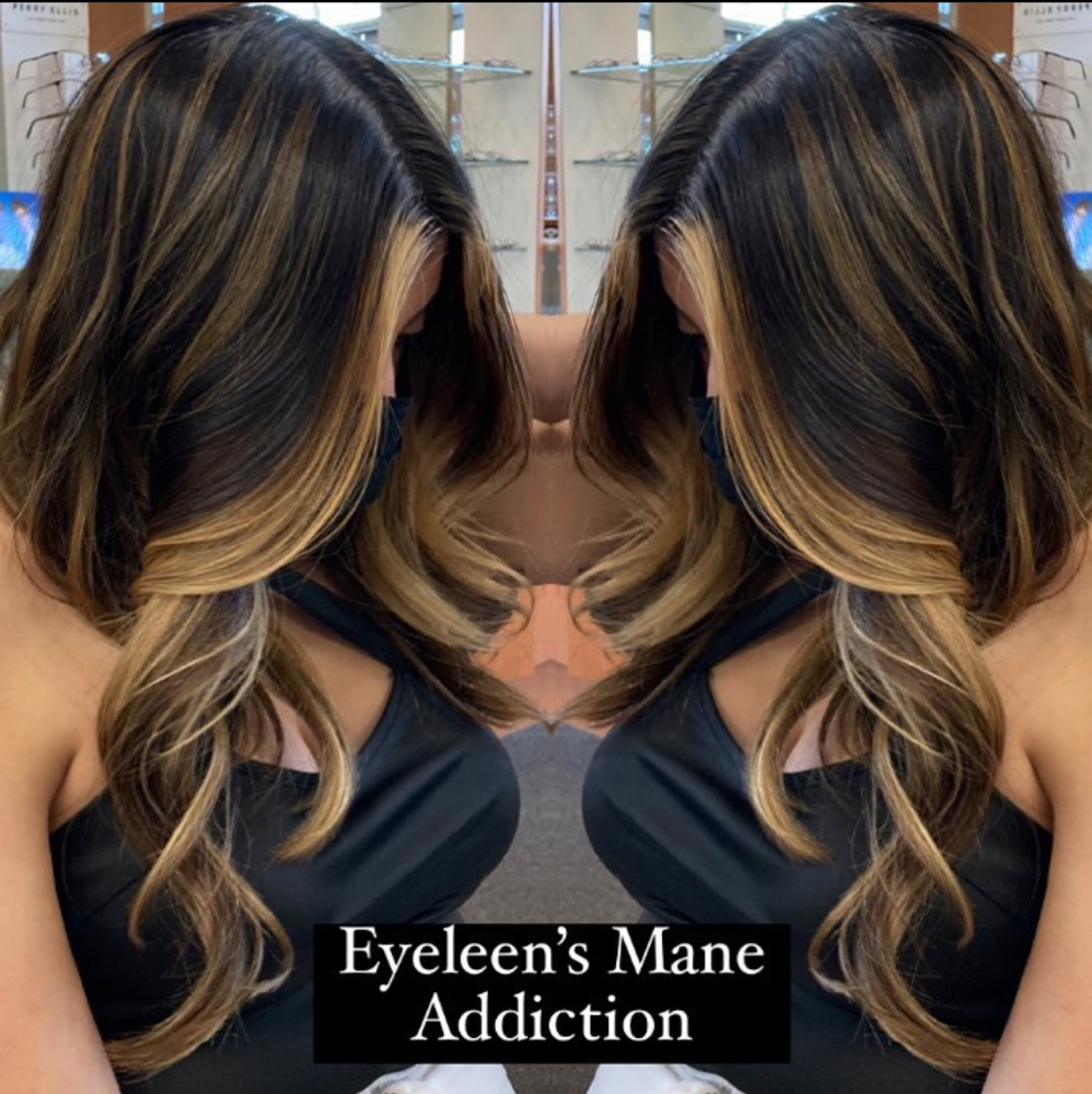 Partial Balayage (No Haircut)