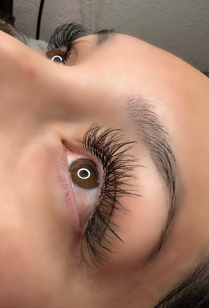 YY Lashes Hybrid