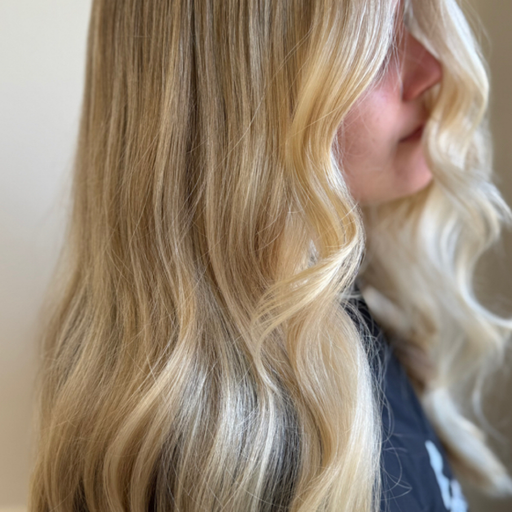 The Partial at Kristen Shuler in Knoxville, TN