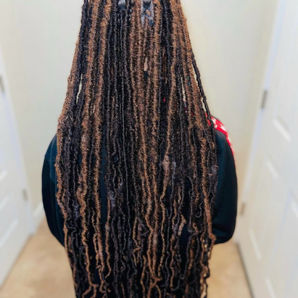 Starter Locs at The SLAED Effect by LAE in Salt Lake City, UT