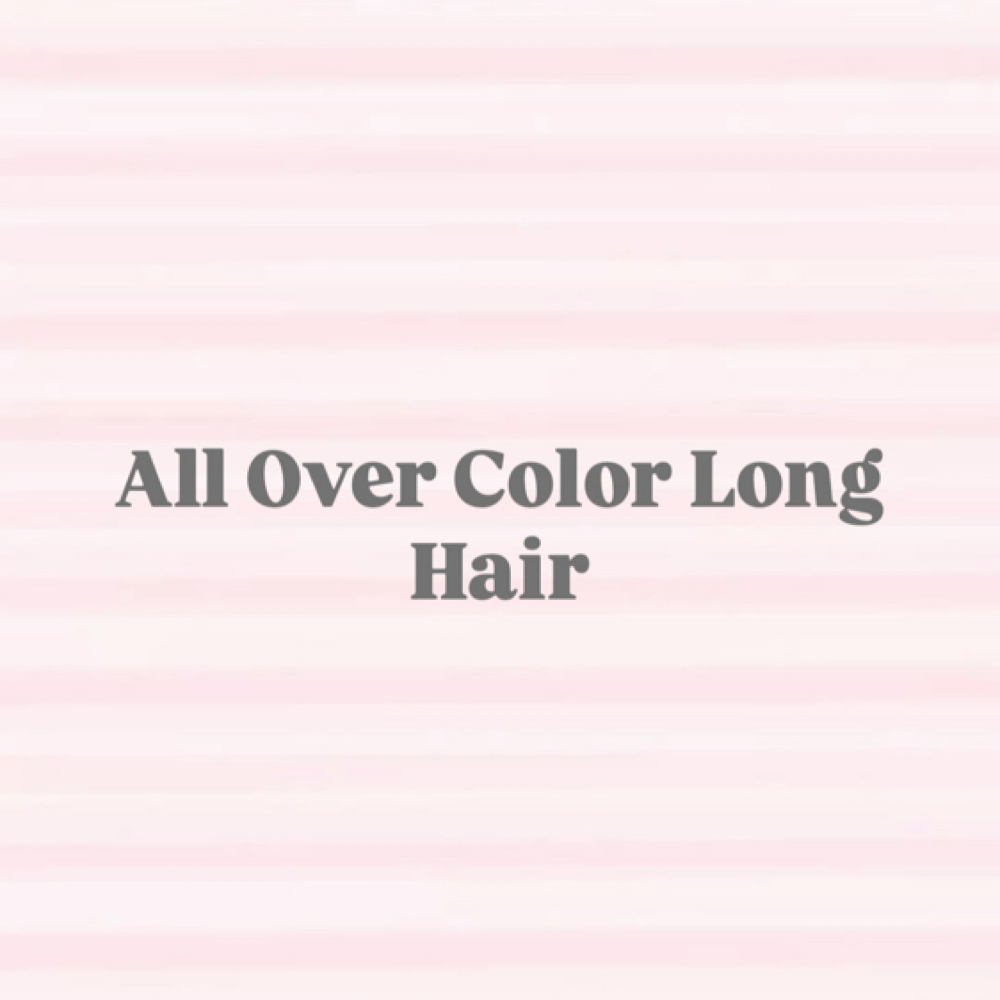 All Over Color - Long Hair at Hollywood Beach Salon & Spa in Oxnard, CA