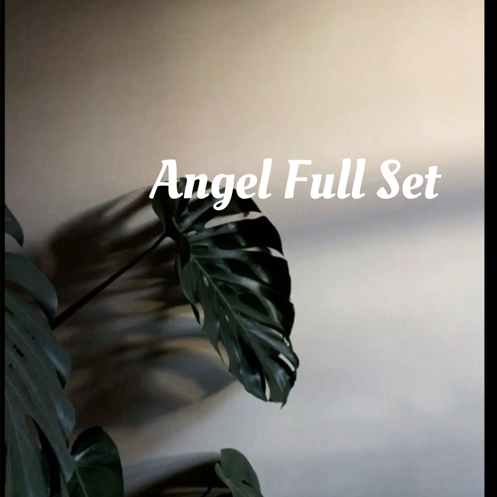 Angel/Wet Set