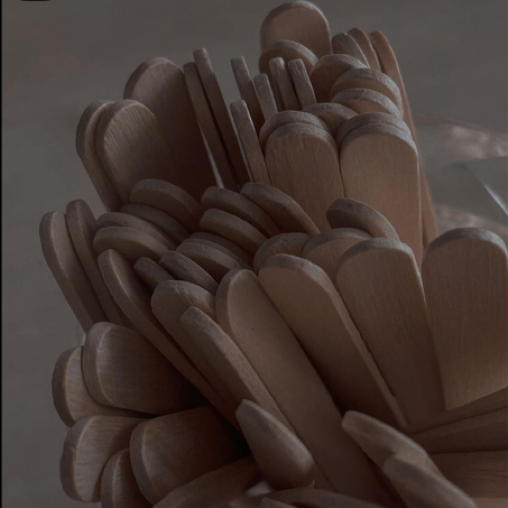 Side Burns at The Beauty Spot in Albuquerque, NM