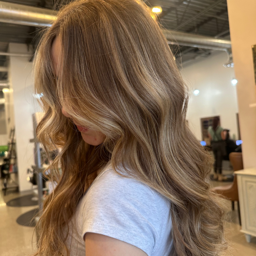 Balayage With Color at Uplifted Hair Co in Zeeland, MI