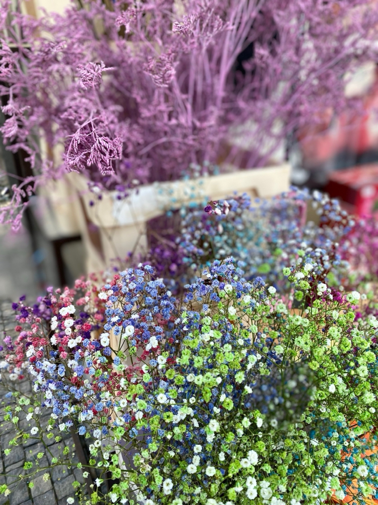 Highlights And Cut w/margie at Voila Salon in Roswell, GA