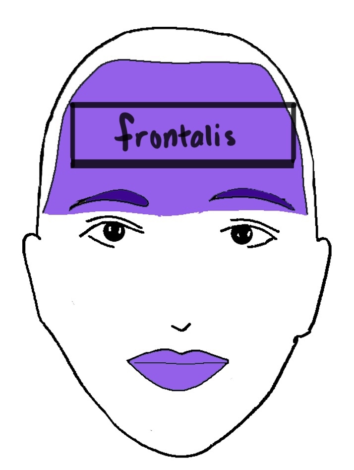 Botox- Frontalis (forehead)