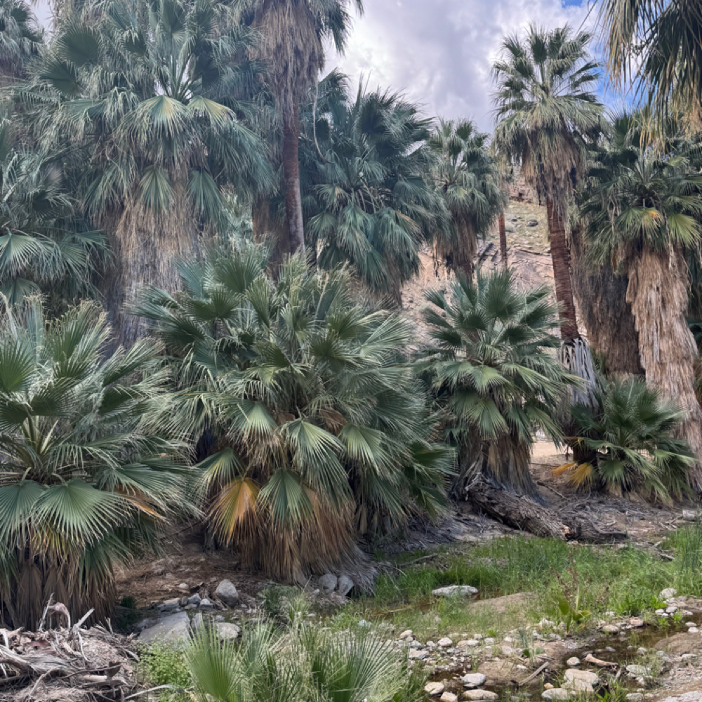 Color Retouch at Indigo Salon @ Beaumont in Lexington, KY