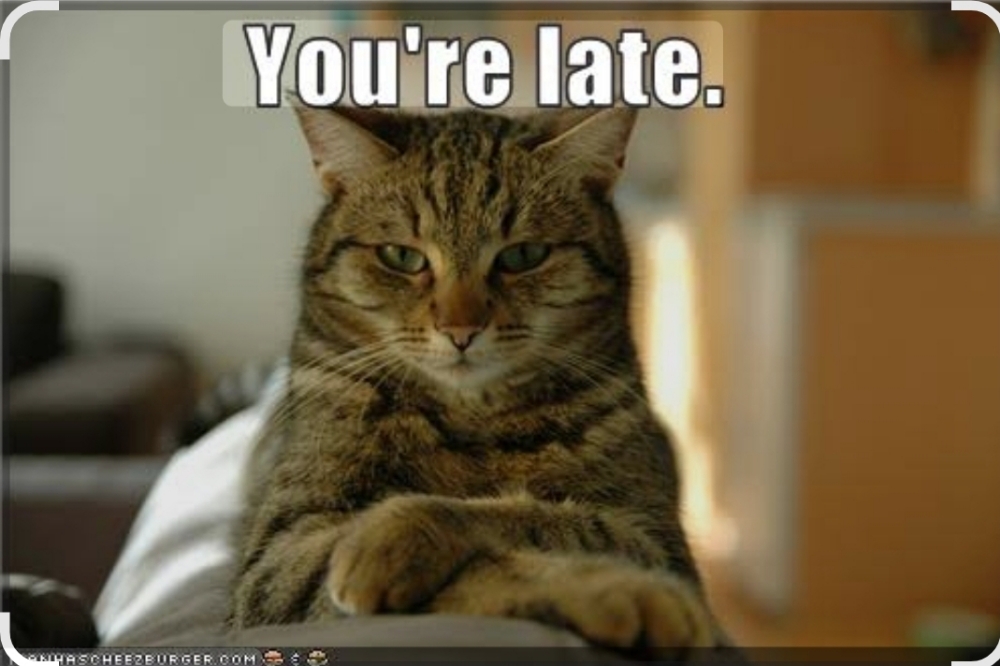 Late Fee (15 Mins Or More)