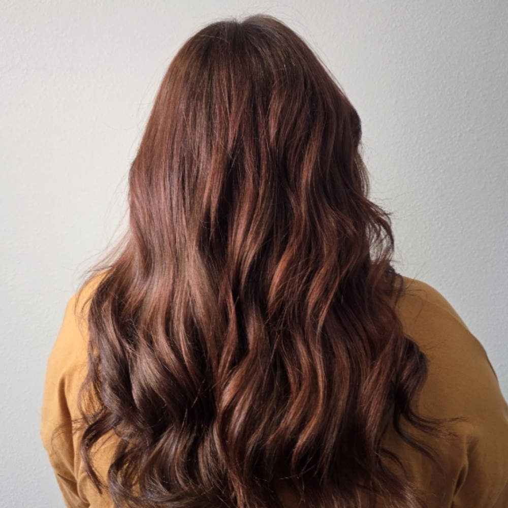 All Over Color at Lavender Lane Salon in North Richland Hills, TX