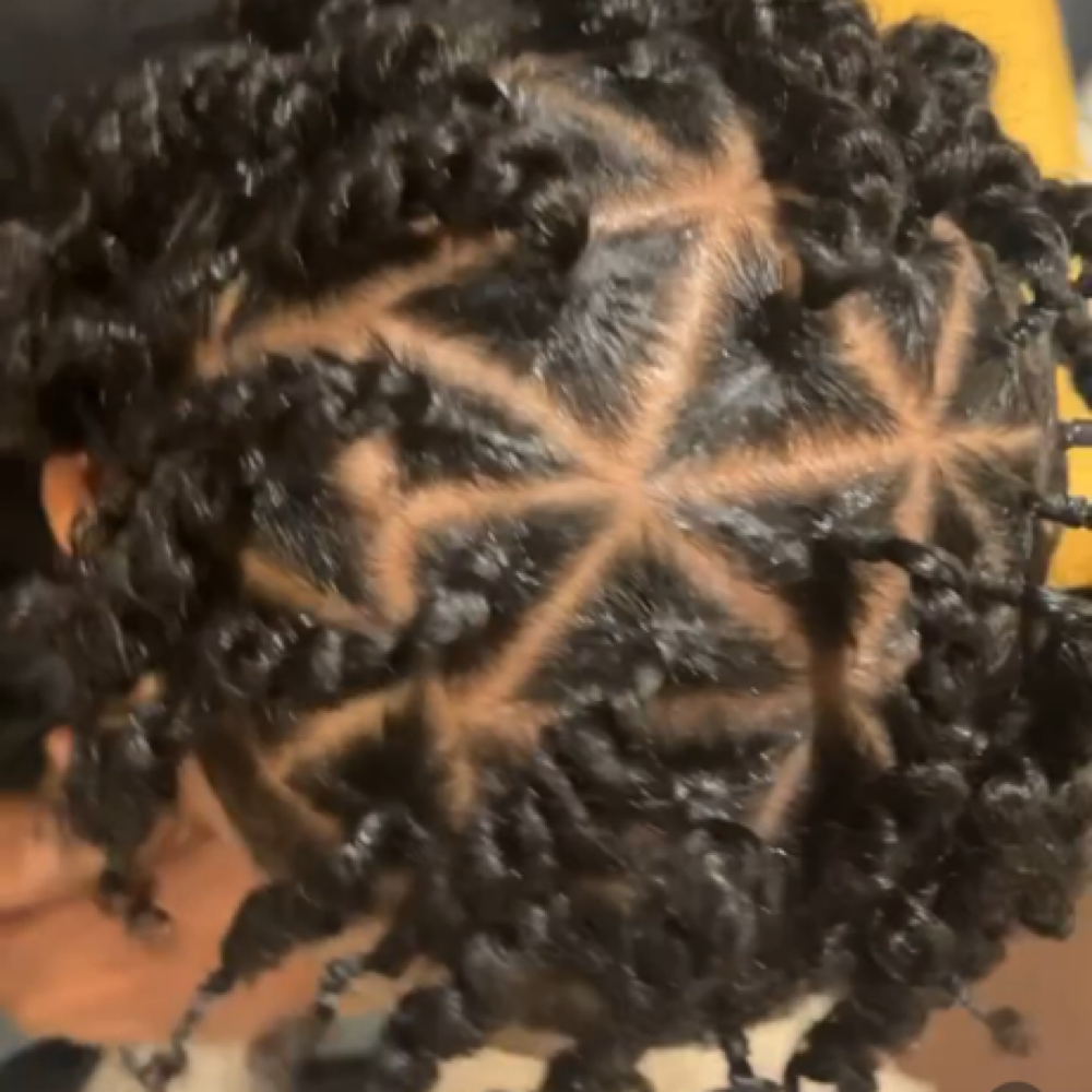 Two Strand Twist at Cue Hair Spa in Indianapolis, IN