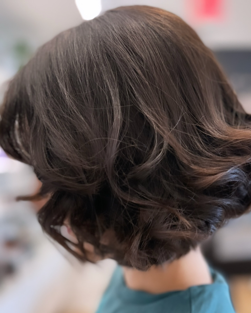 Gloss Toner, Cut, & Blow Dry Finish
