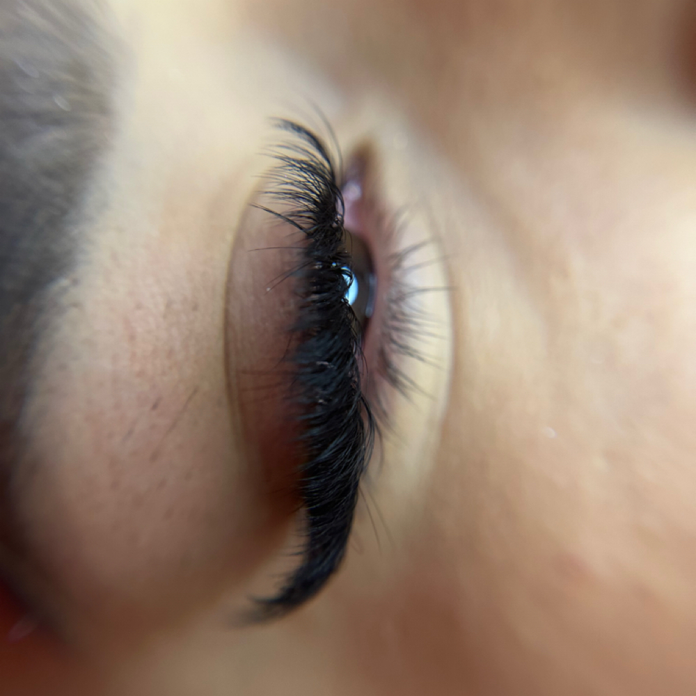 Wet Set Fill at The Empress Lash Bar & Studio in Richardson, TX