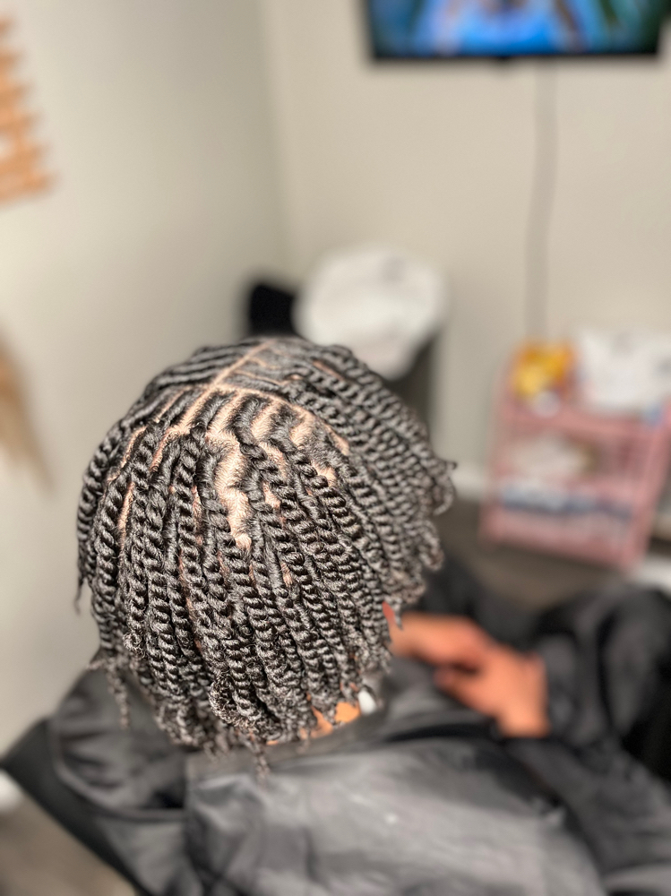 Starter Locs (Two-Strand Twists)